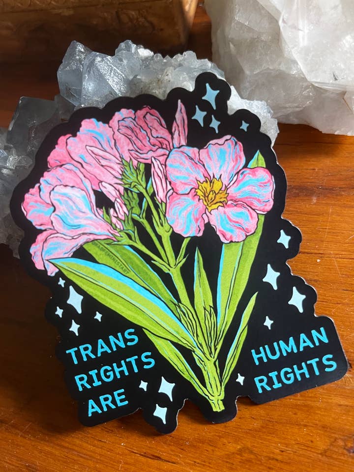 Transrechte sind Menschenrechte: Pride Magnet für den Großhandel von Fabulously Feminist