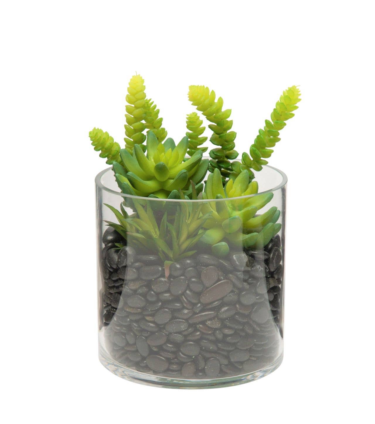 Replica Plants and Decor - Vente Vases - Collection de cylindres en verre transparent Mazzy de 6 po de large GL10012