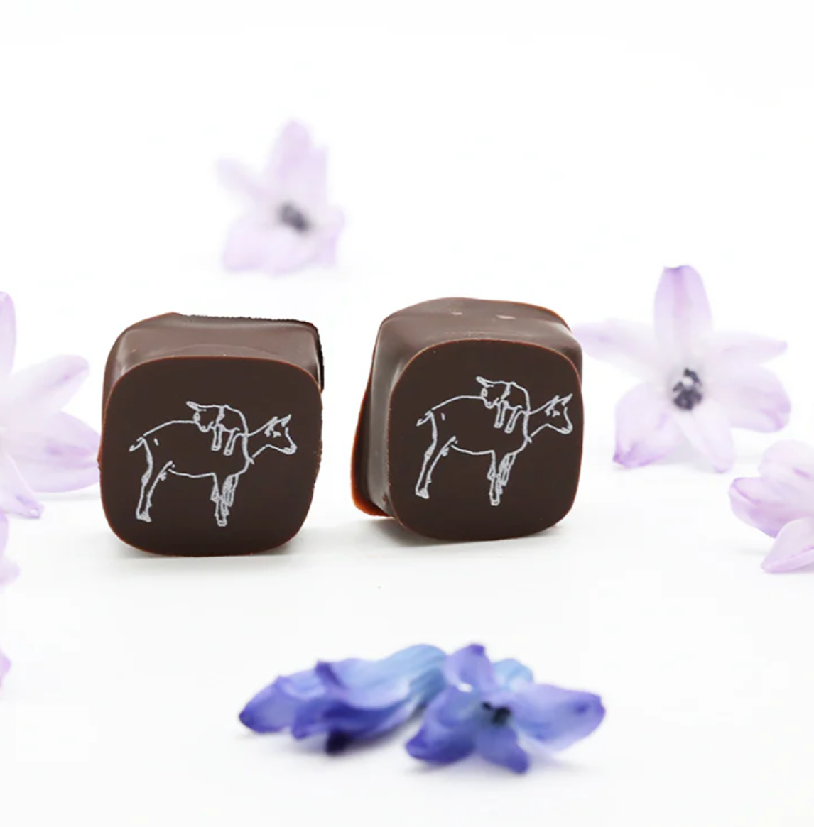 Big Picture Farm - Wholesale Chocolate Covered Sweets - 2 Piece Chocolate Covered Caramel Candy Gram1