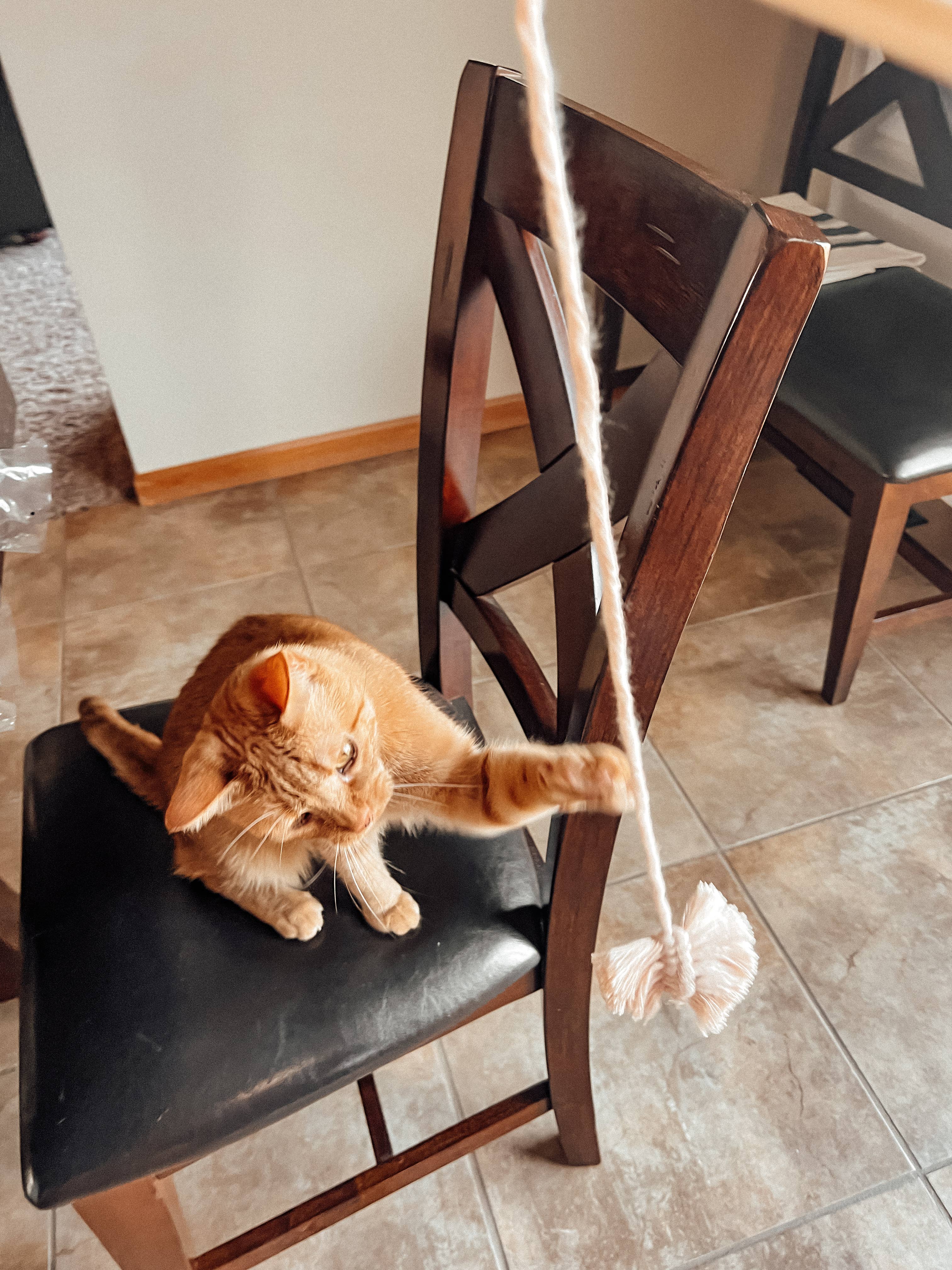 Meraki The Studio Co. - Wholesale Pet Toy - Cat - Macrame Cat Wand Teaser Toy | Gifts for Pets & Kitten Lovers6