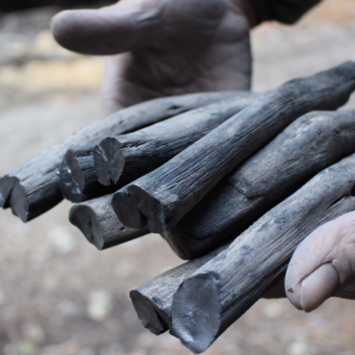 CHAMARREL - Venta al por mayor Filtros de agua - Binchotan Charcoal | Filtro ecológico3