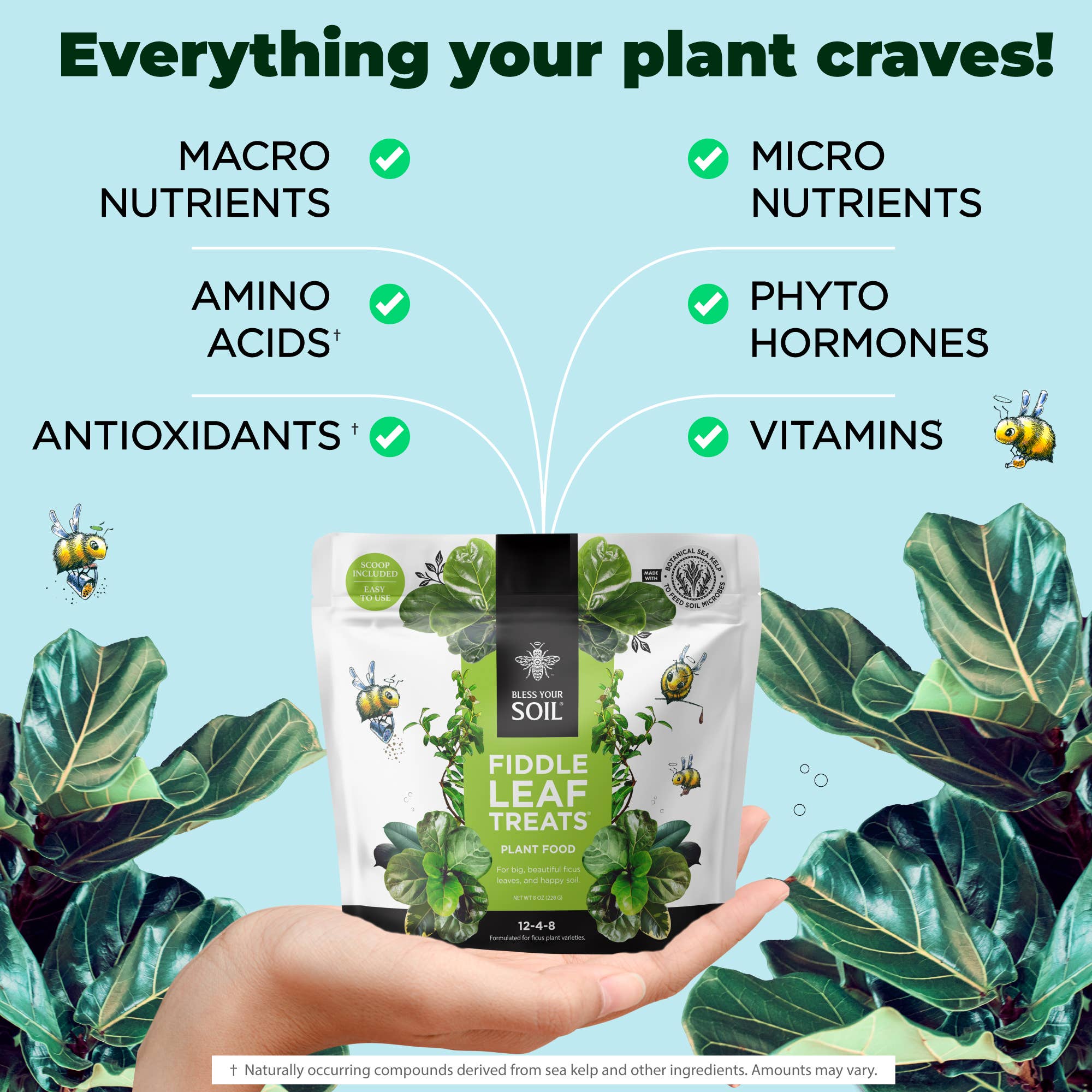 Bless Your Soil - Wholesale Fertilizer - Fiddle Leaf Treats®1