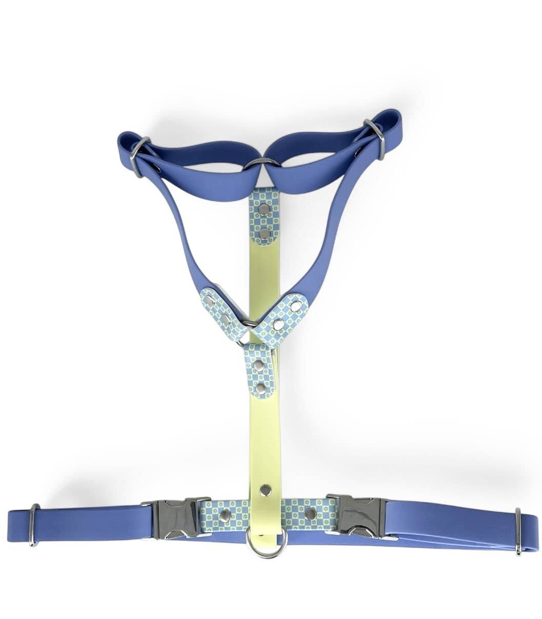 Splash By Happy - Wholesale Pet Collar - Dog - 🌼 Happy Flower 🌼10