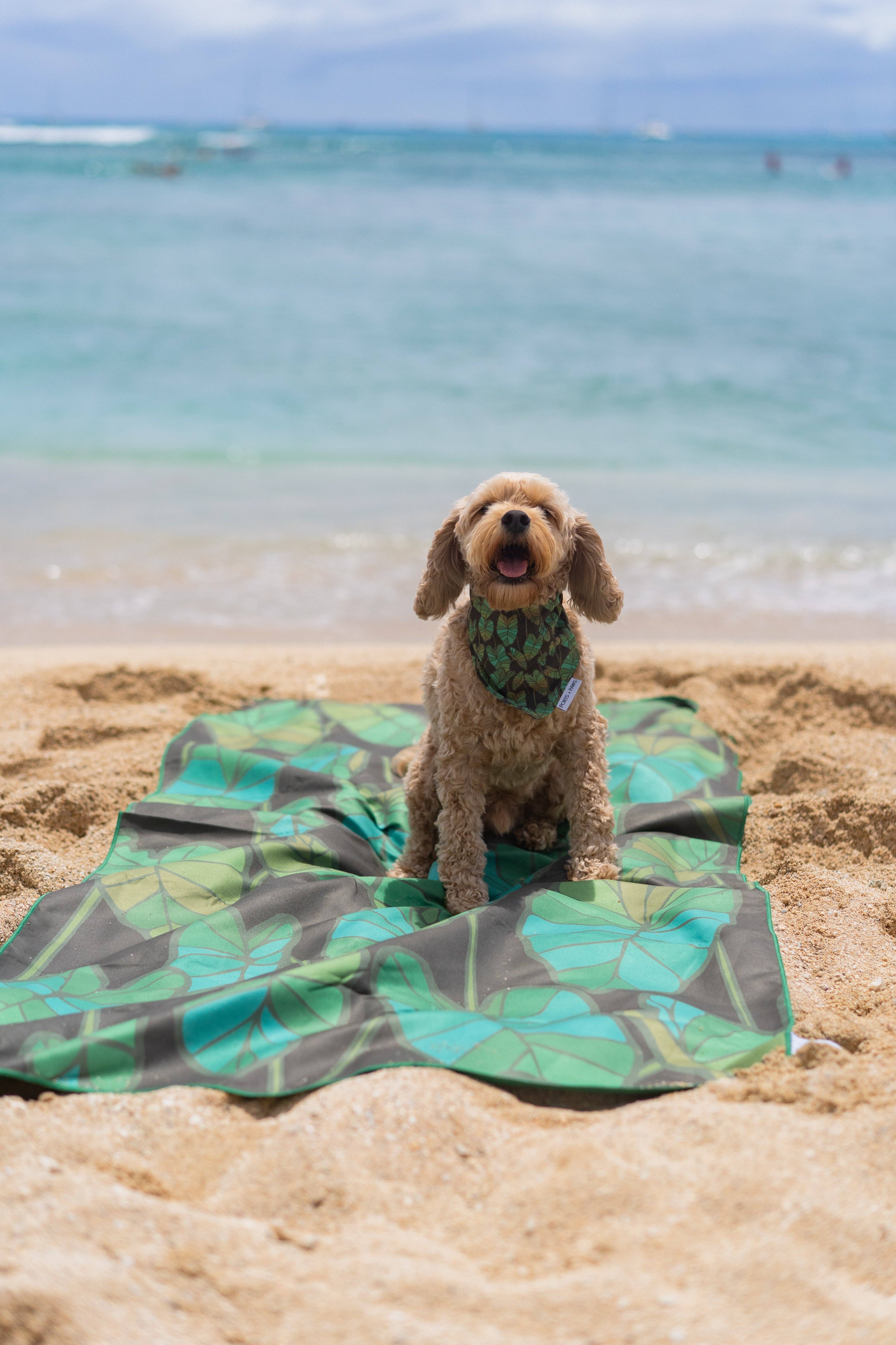 Ports and Paws - Wholesale Beach Towel - TOWEL - KALO1