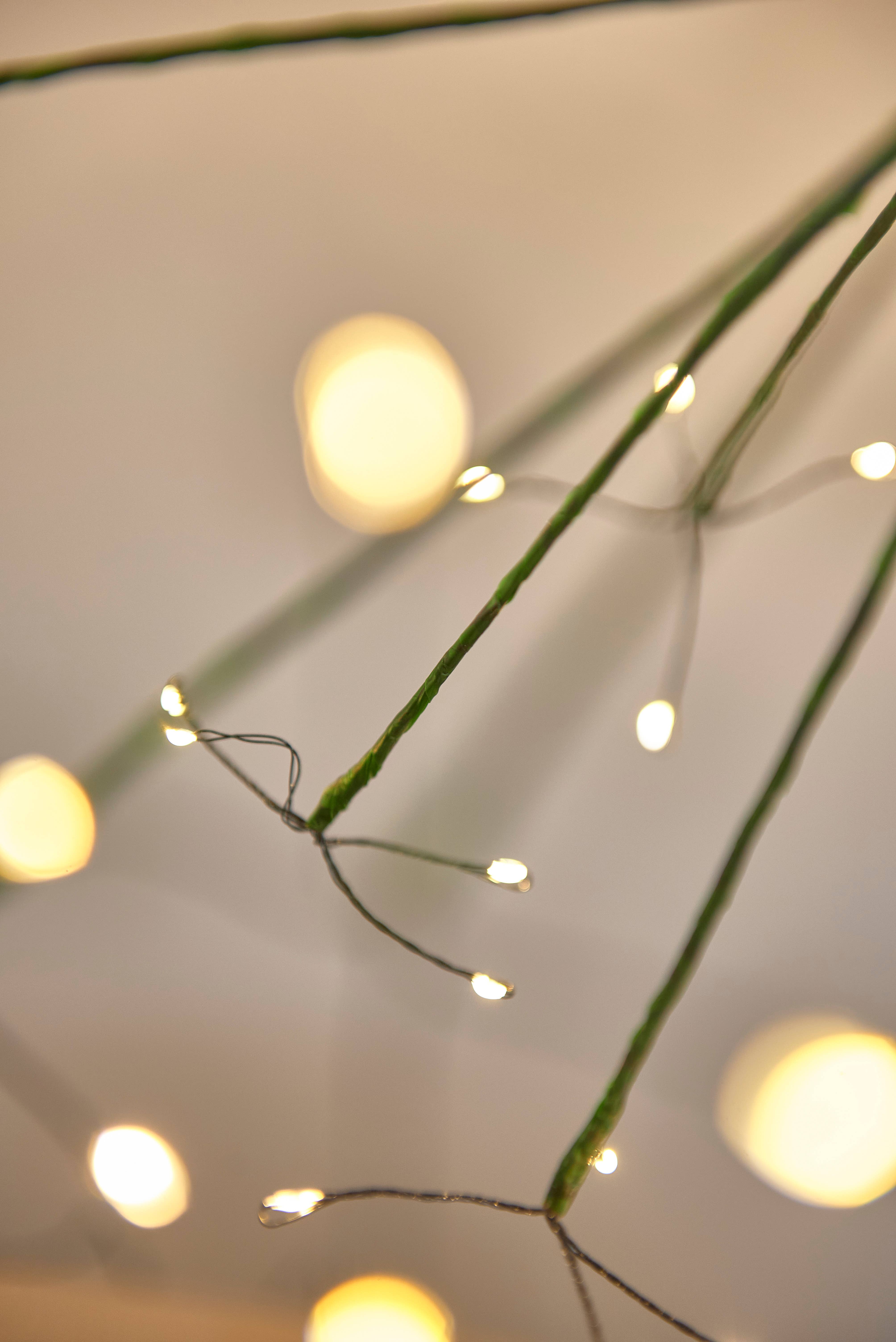 Lightstyle London - Vendita all'ingrosso Luce per esterni/da giardino - Tarassaco verde1