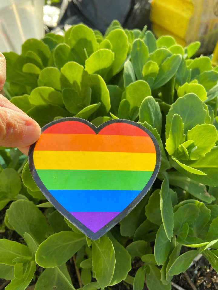 Pride Heart Rainbow Sticker for wholesale by Carey Dailey Creations