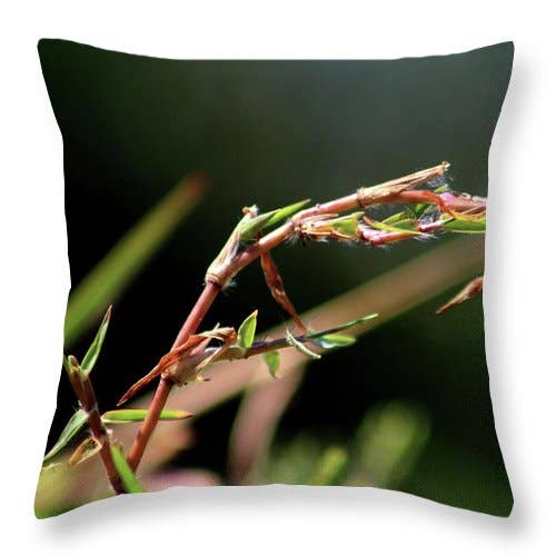 CUSCINO "THE NATURE CHARM" per la vendita all'ingrosso da parte di sorayadapuzzostore