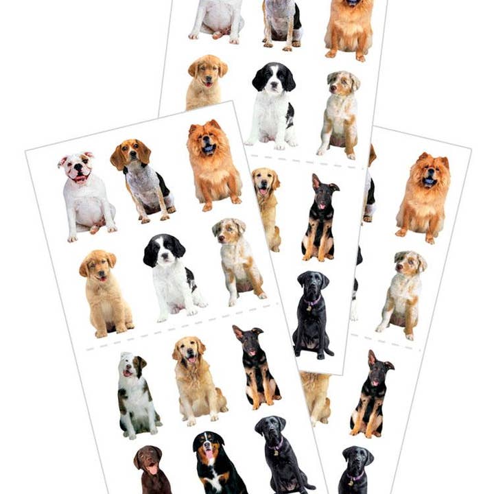 Paper House Productions - Wholesale Sticker - Mini Mixed Dogs Sticker - Flat Design