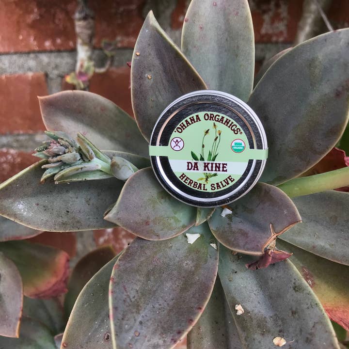 'Ohana Organics - Wholesale Healing Salve/Balm/Cream - Da Kine Organic Salve (Cases of 6)
