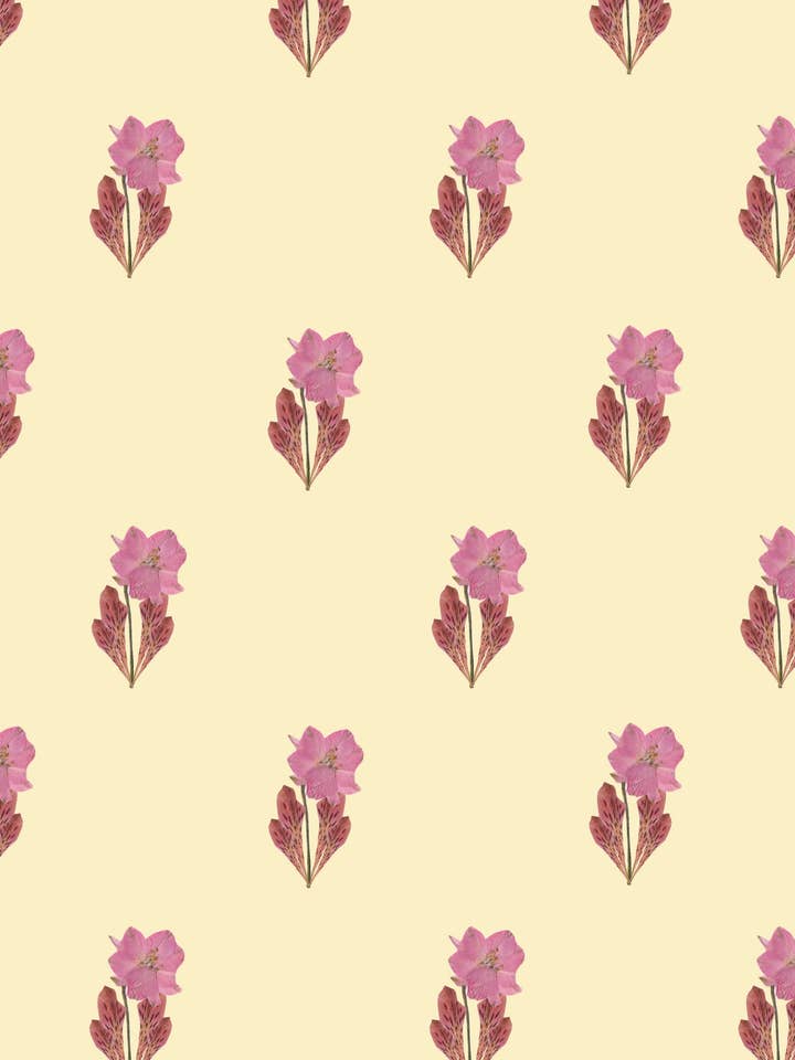 PRINTEMPS BEIGE pour la vente par Made of Matter