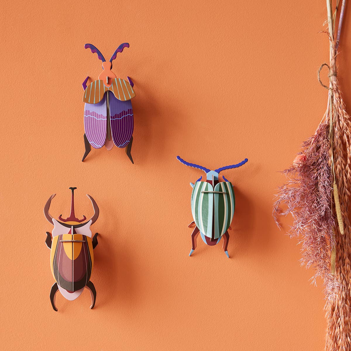 Until Pty Ltd - Wholesale Wall Accent - Studio Roof Wall Art Beetles (B7) Elephant Beetle5