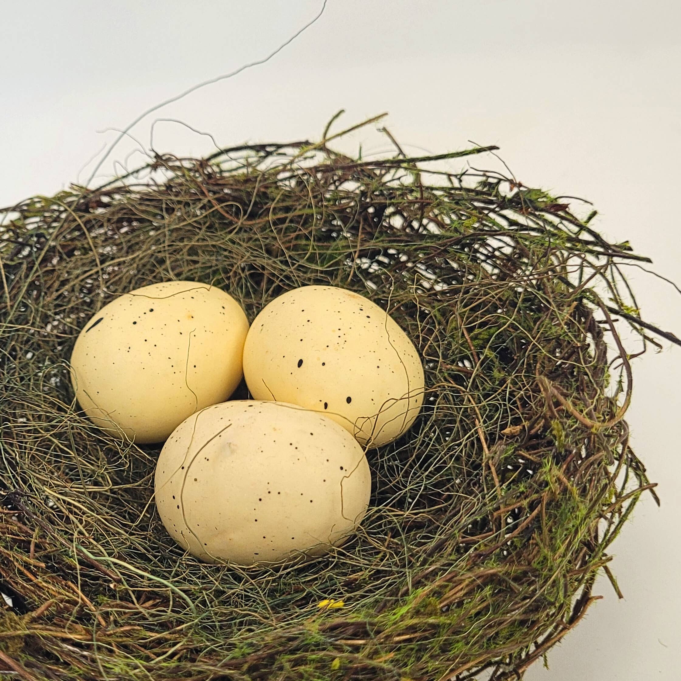 David Christopher's Collection - Wholesale Decorative Tabletop Object - Mossed Bird's Nest 6”1