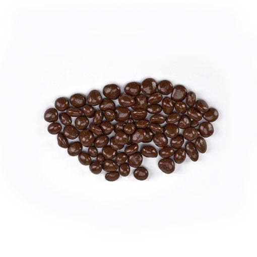 Cape Cod Provisions - Wholesale Chocolate Covered Sweets - Dark Chocolate Covered Cranberries 4oz1