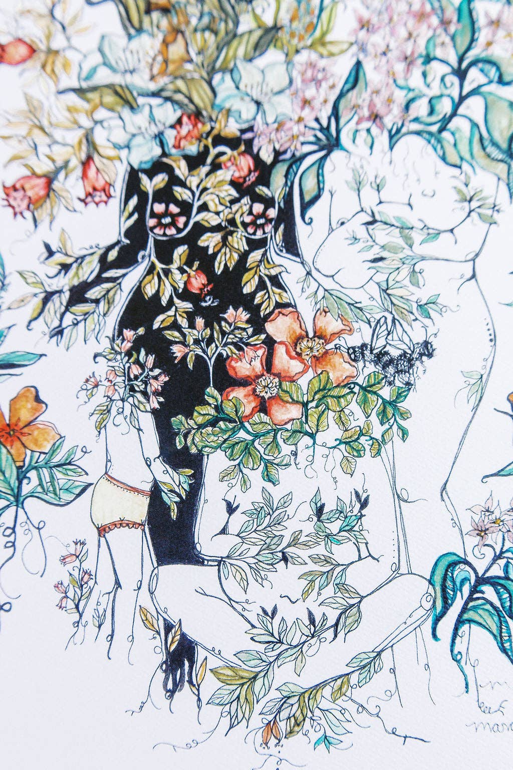 Marcy Ellis – Großhandel Kunstdruck – Süße Setzlinge Feminine und Botanische Kunst Druck3