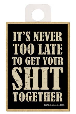 SJT Enterprises, Inc. - Wholesale Magnet - It's never too late to get your shit together0
