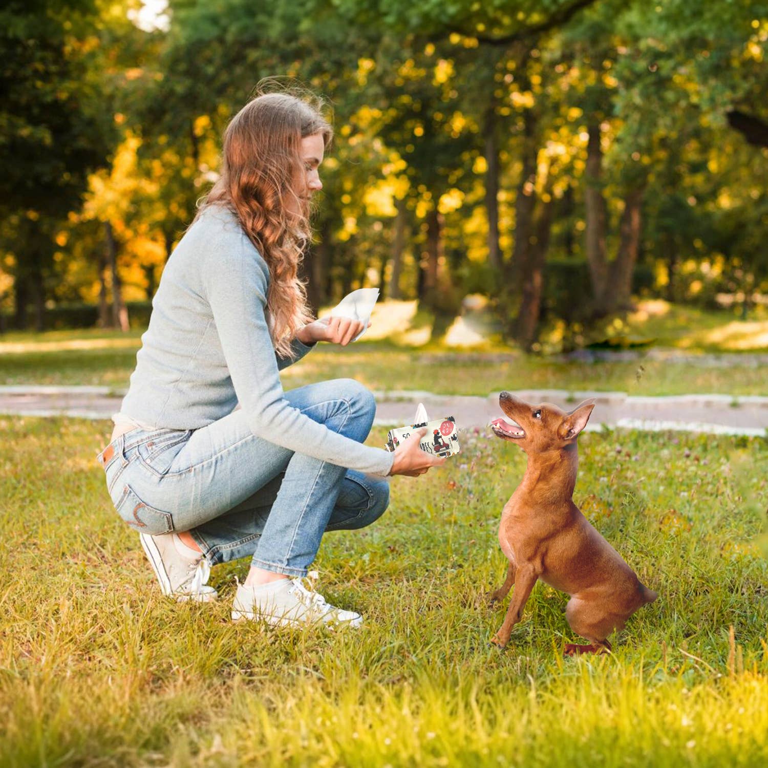 Precious Tails - Wholesale Pet Grooming Aid - Dog - Precious Tails 100pcs. Pet Wipes with Aloe & Vit. E (50/pk)5