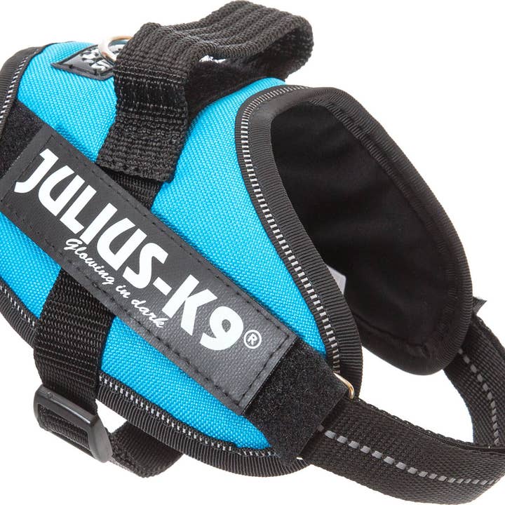 IDC POWERKIN AQUAMARINE for wholesale by K9 Shop