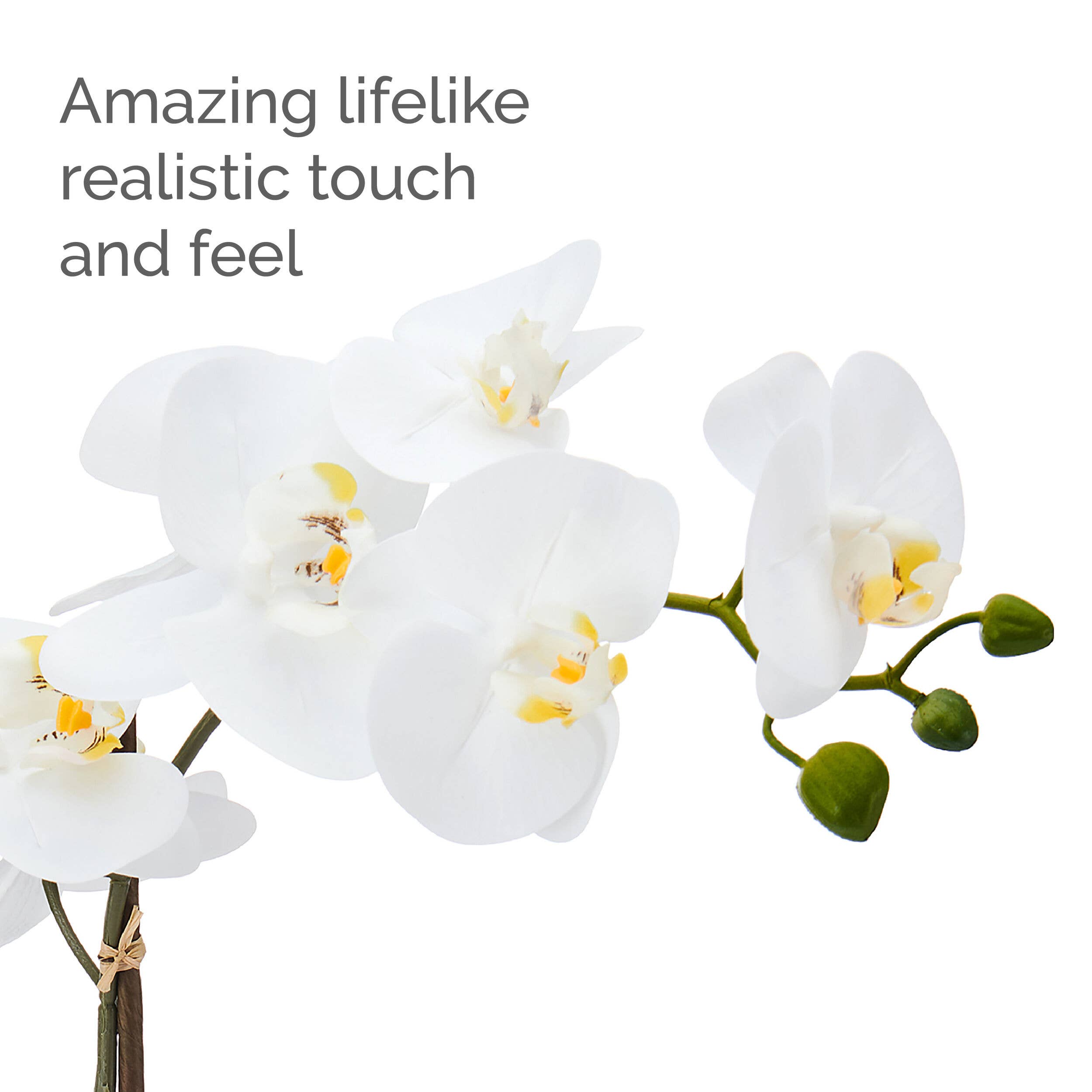 Mikasa 22in White/Yellow Artificial Orchid in White Lined Po for wholesale on Faire1