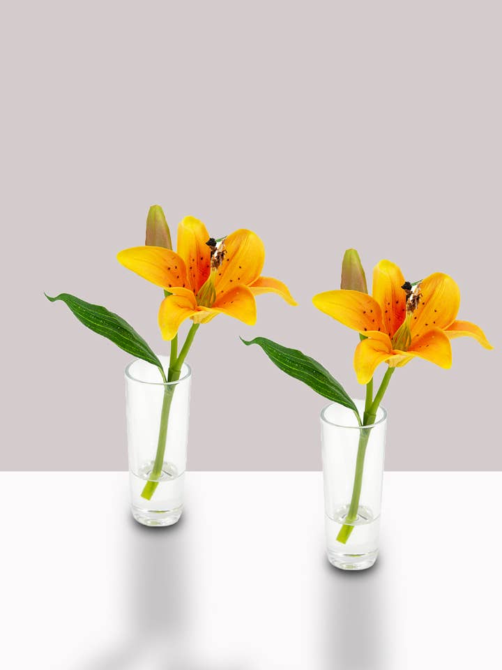 Orange Lily & Bud in Clear Shot Glass for wholesale by Jamali Garden