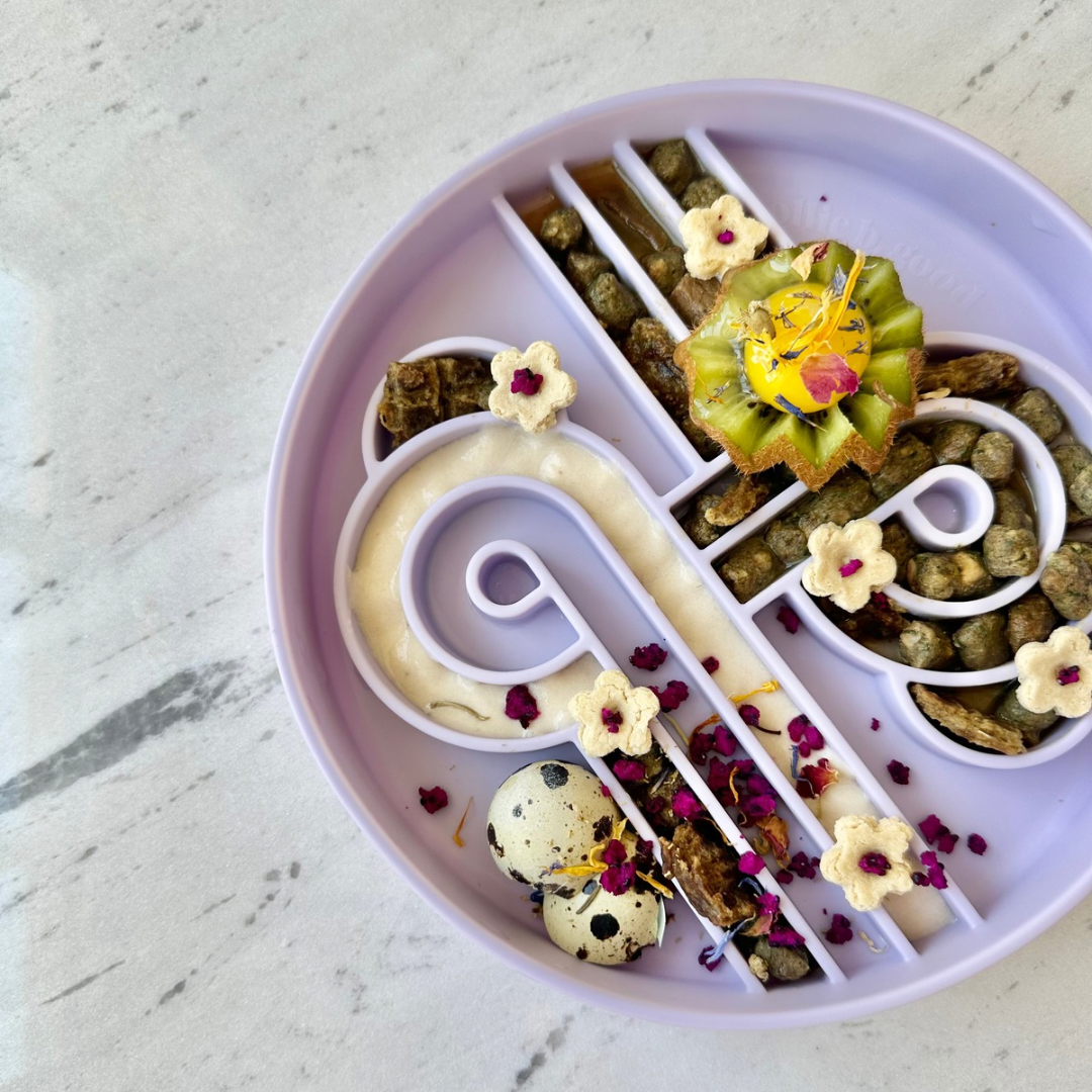 ollie b. good - Wholesale Pet Bowl - Cat/Dog - zoomies slow feeder bowl | fig2