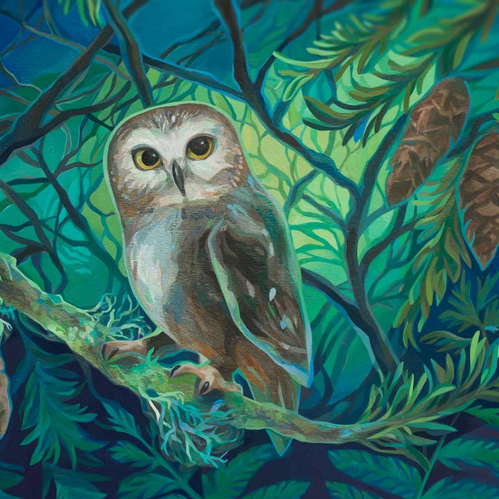 Marigold Art Studios - Wholesale Art Print - Northern Saw-Whet Owl Art Print 1