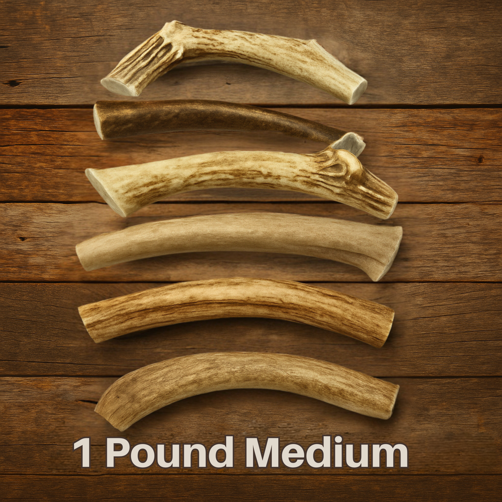 WhiteTail Naturals – wholesale Hundben/bitleksak - Hund – Stora hela hjorthornsgnagare - säljs per pund3