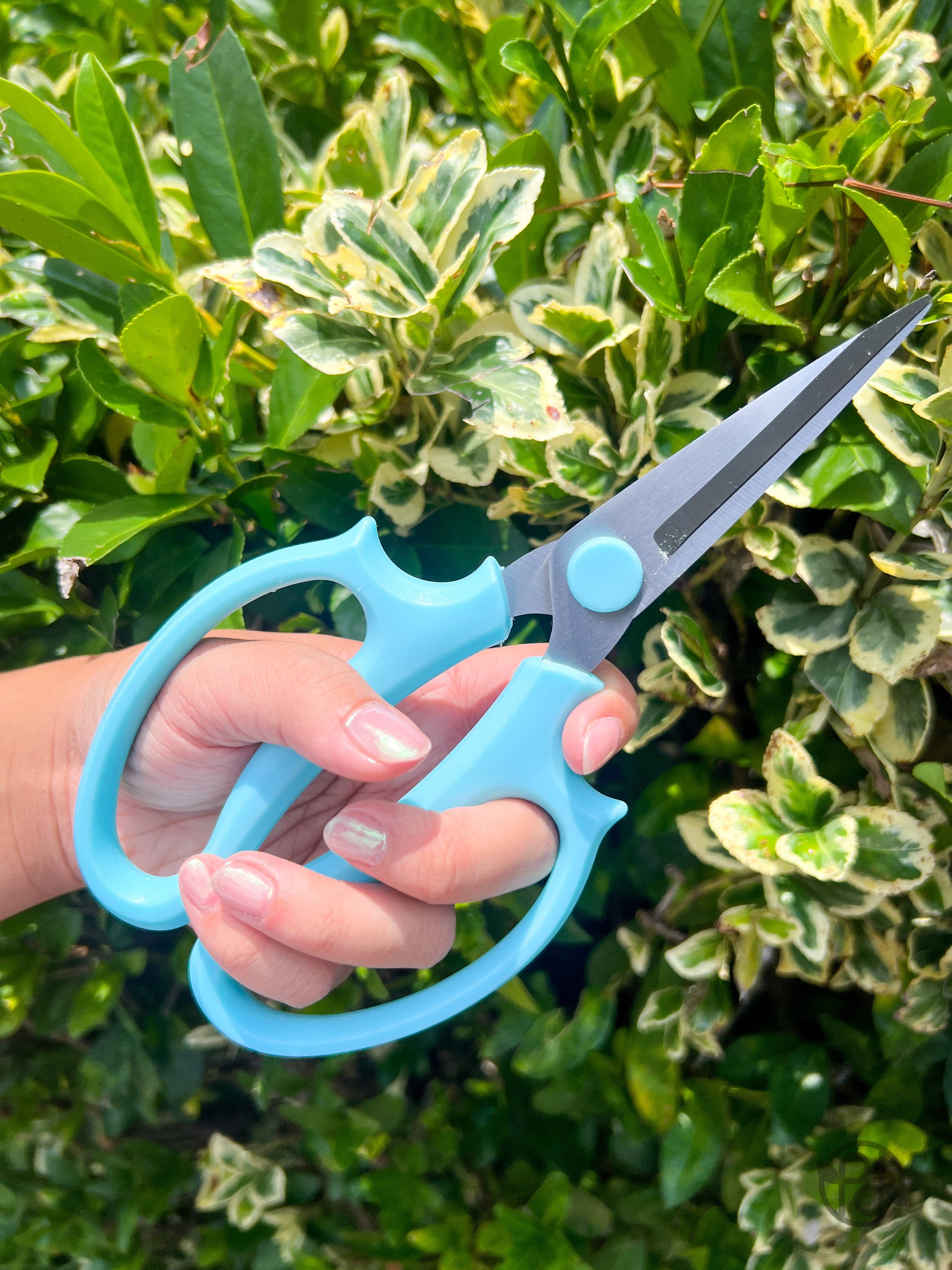 Propagation Diaries - Vente Outil de jardinage - Sécateurs7