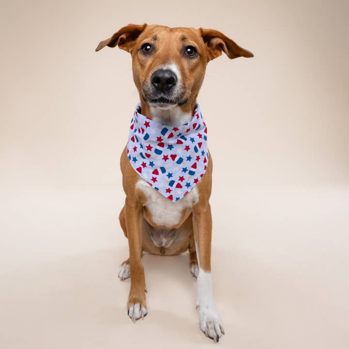 The Paws - Wholesale Pet Bandana - Dog - Pop Dog Bandana