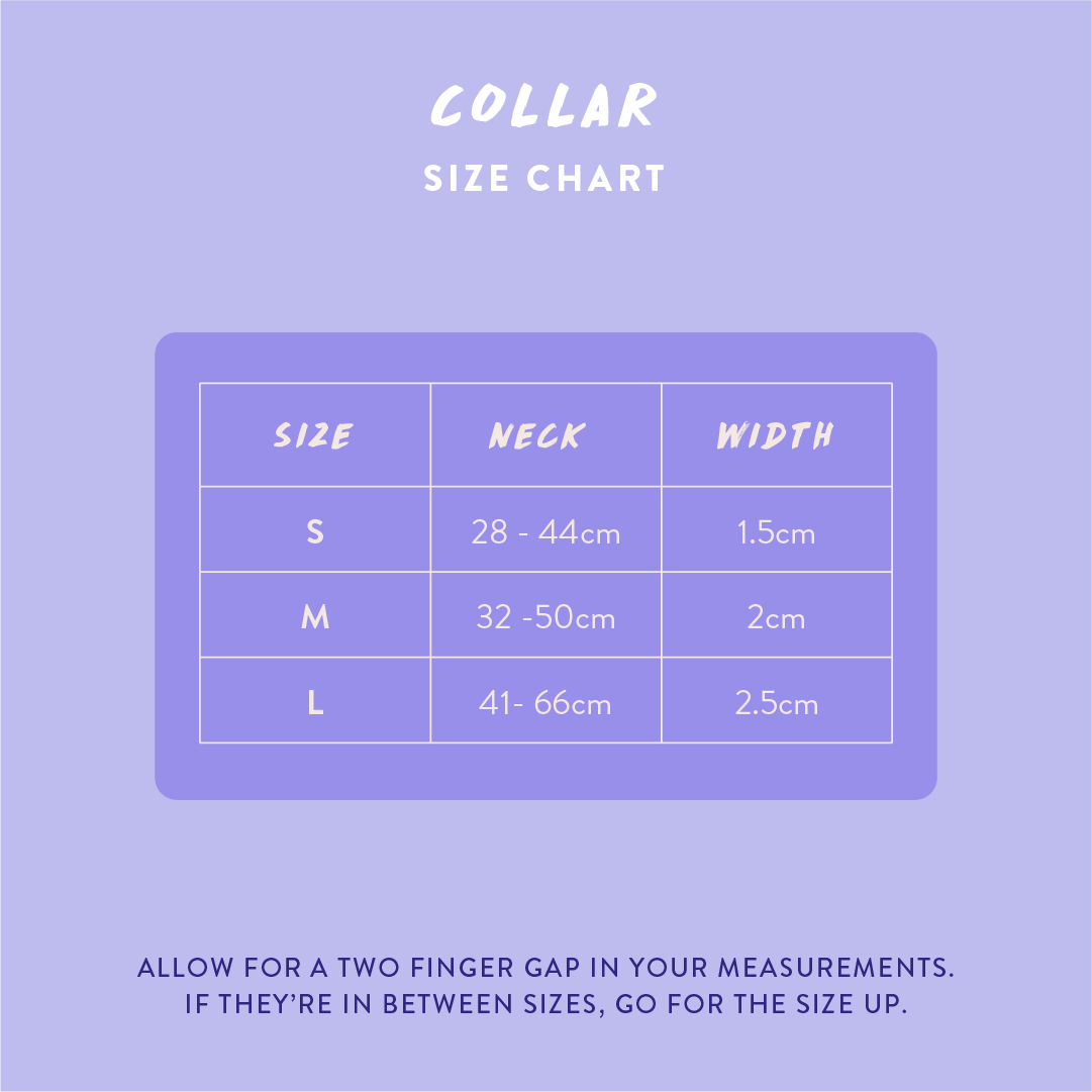 WYLD CUB - Vente Collier – chien - Flockin' Fabulous : Collier pour chien6