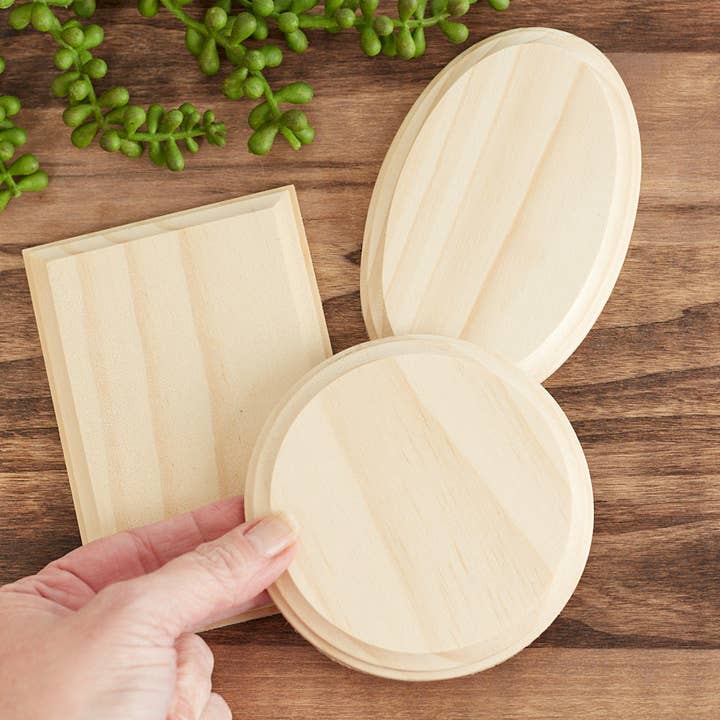 Factory Direct Craft - Wholesale Plaque - Bag of 3 Assorted Shape Unfinished Wood Plaques