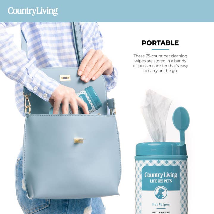 Silver Paw - Wholesale Pet grooming aid – Dog - 75 Fragrance Free Dog Wipes6