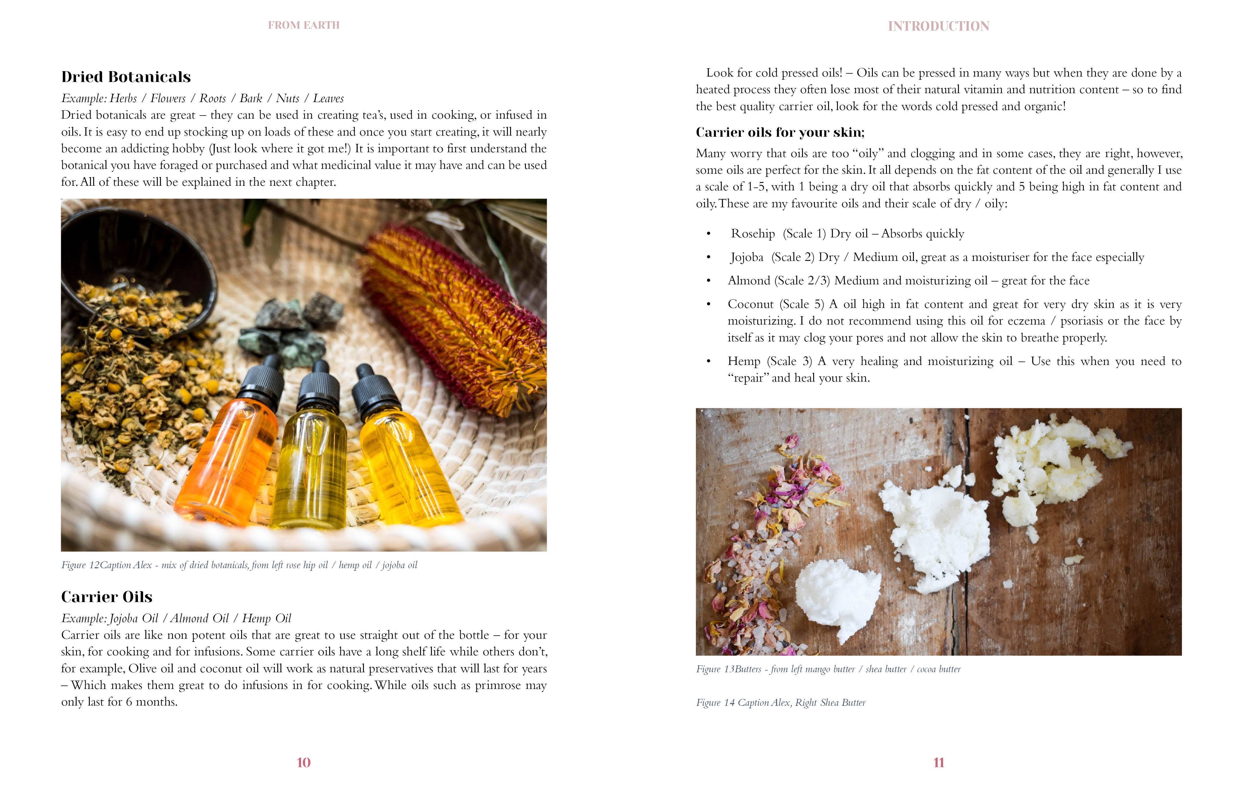 ROCKPOOL PUBLISHING - Wholesale Body, Mind & Spirit - From Earth: Create Your Own Natural Apothecary (Hardcover)5