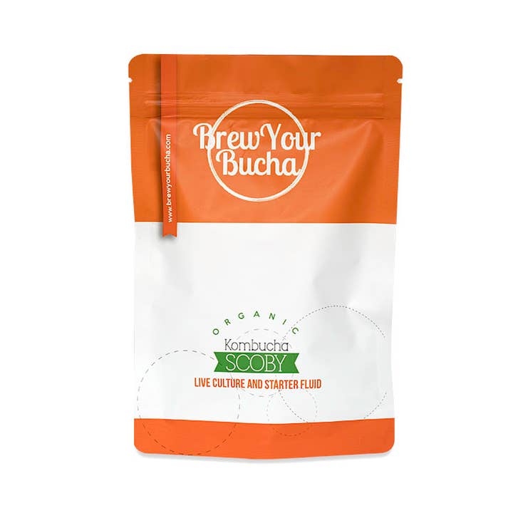 Kombucha SCOBY - Culture en direct pour la vente par Brew Your Bucha