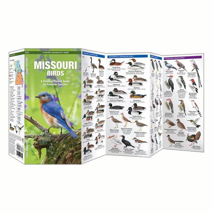 Waterford Press - Wholesale Nature Guide - Missouri Birds Nature Guide