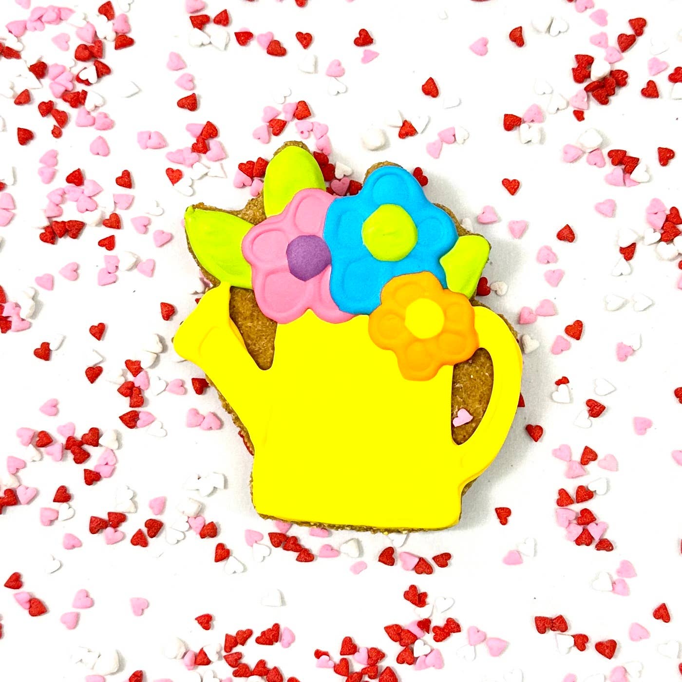 Lucky Biscuit Pet Bakery - Wholesale Pet Treats - Dog - Colorburst Spring Bloom Collection9