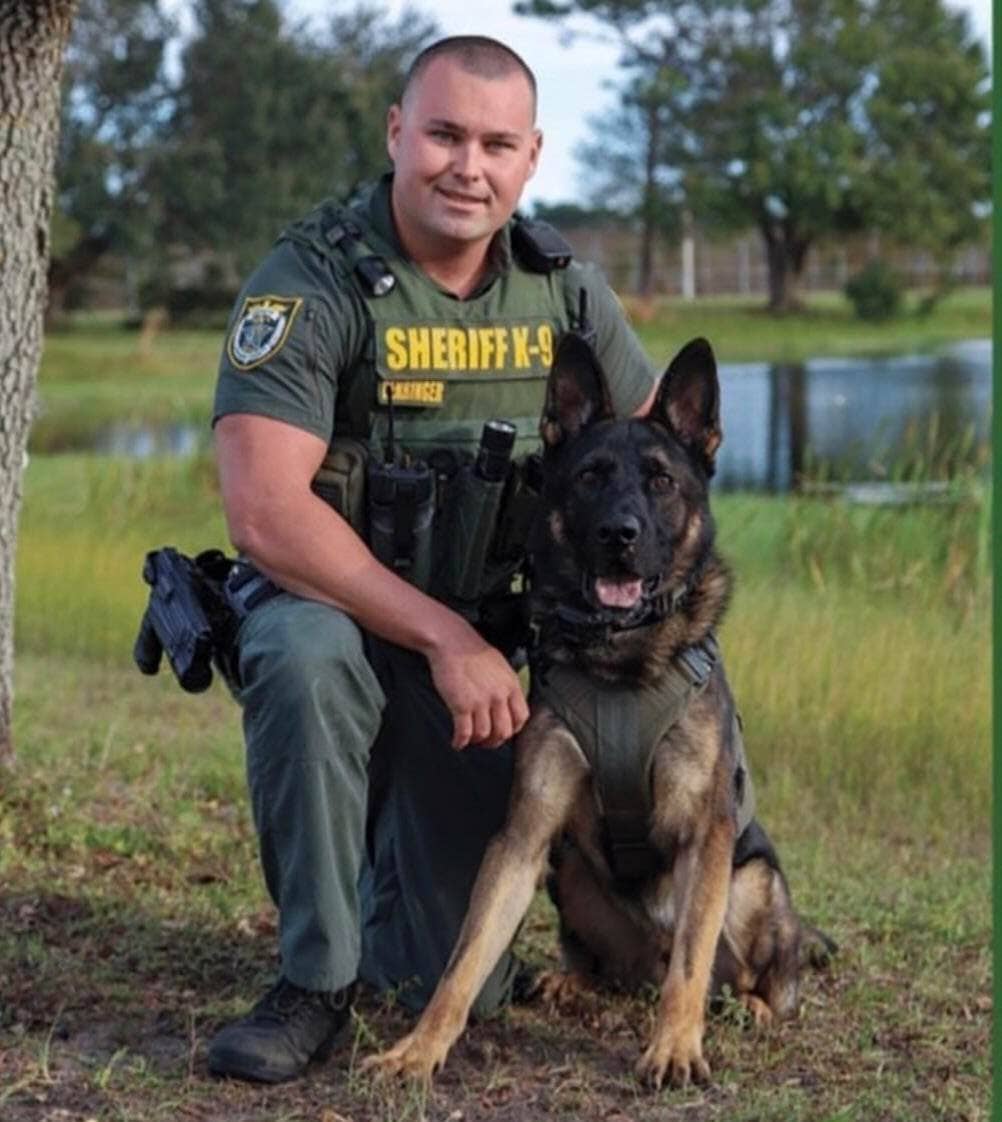 Fox + Hound - Wholesale Pet Cleaning Supplies - Fox + Hound Gallon Gator's Kennel Cleaner, Crates, Kennels5