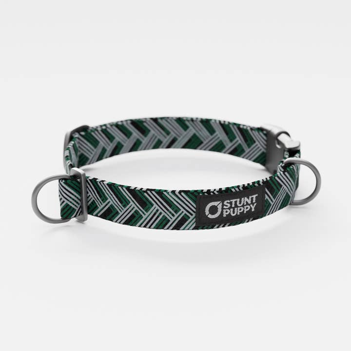 New York Zoomies Everyday Collar for wholesale by Stunt Puppy