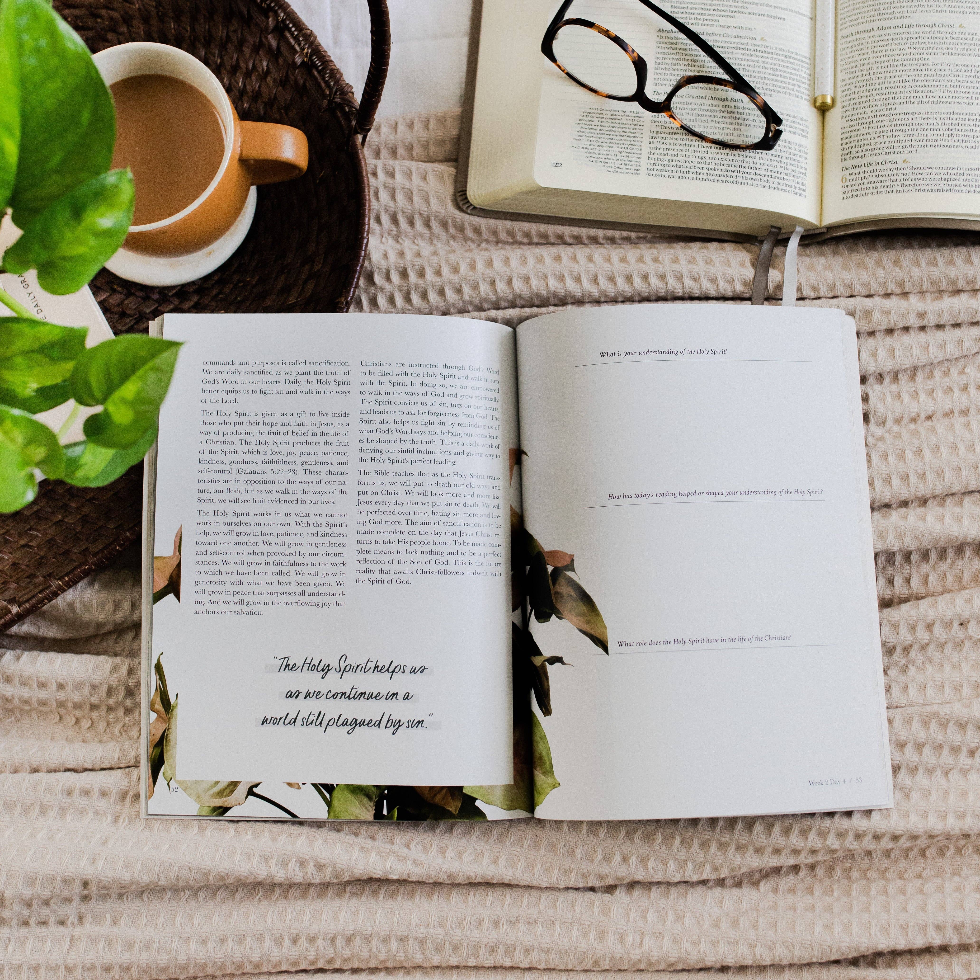 The Daily Grace Co - Wholesale Religion - Faith Foundations | A Study on the Basics of Christianity2