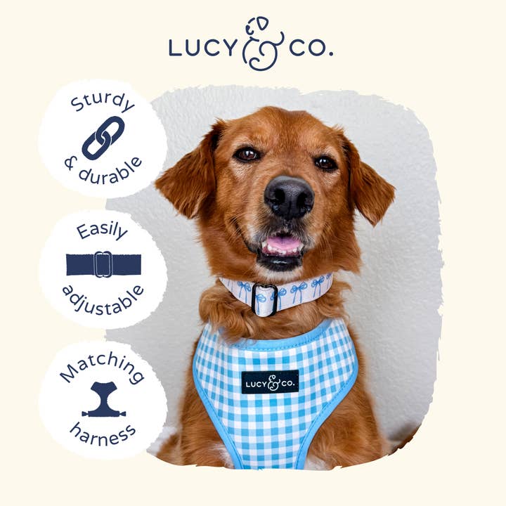 Lucy & Co. - Wholesale Pet Collar - Dog - Bowwow Wow! Collar7