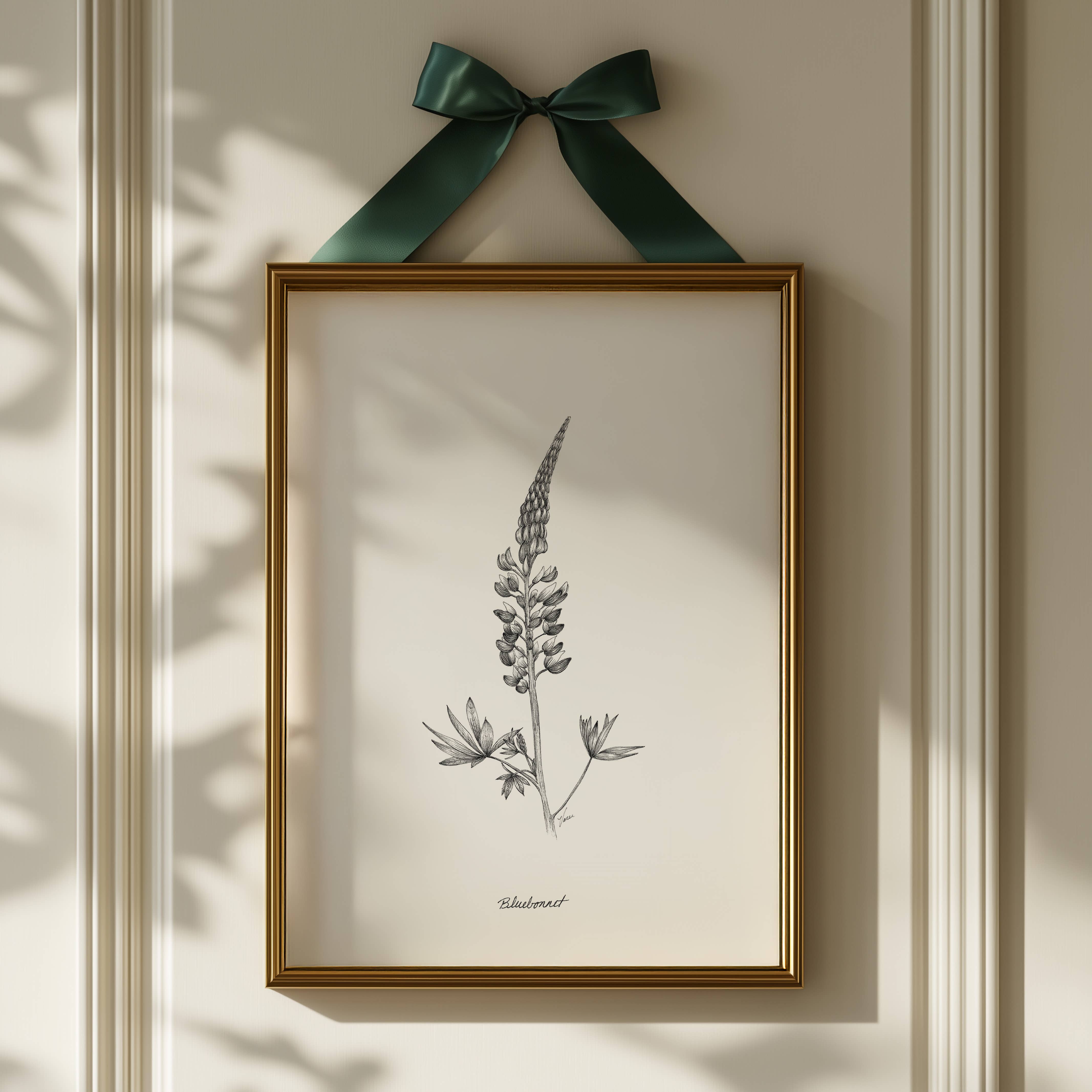 Vanee.ink - Wholesale Art Print - Bluebonnet Print (Texas)2