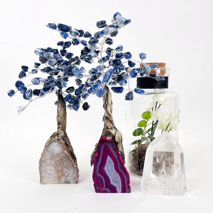 Rock Paradise - Wholesale Spiritual Stone/Crystal - Sodalite Crystal Tree on Agate Geode Base - You Choose Color13