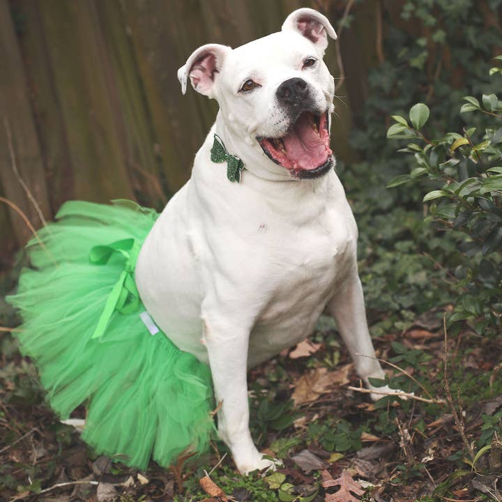 Christmas Green Dog Tutu Skirt | Pet Tutu | Dog Dress for wholesale by Tutu Joli LLC