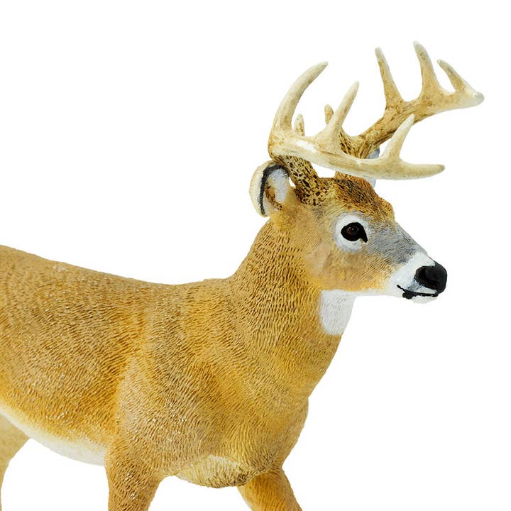 Safari Ltd. - Wholesale Figurine Toy - Kids - Whitetail Buck - 1135894