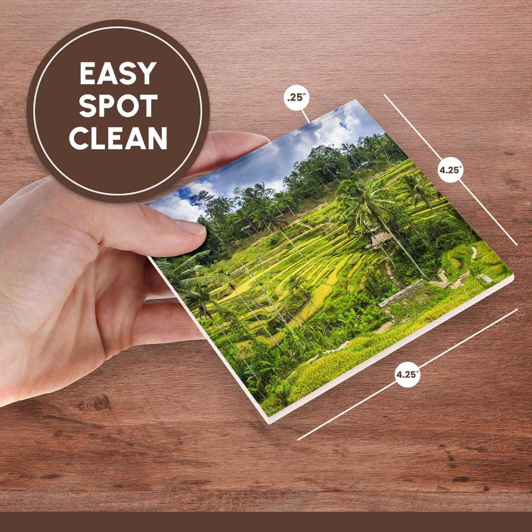 3dRose - Wholesale Coasters - 3dRose, Rice fields at Tegallalang Rice Terrace, Bali, Indonesia, Coaster6
