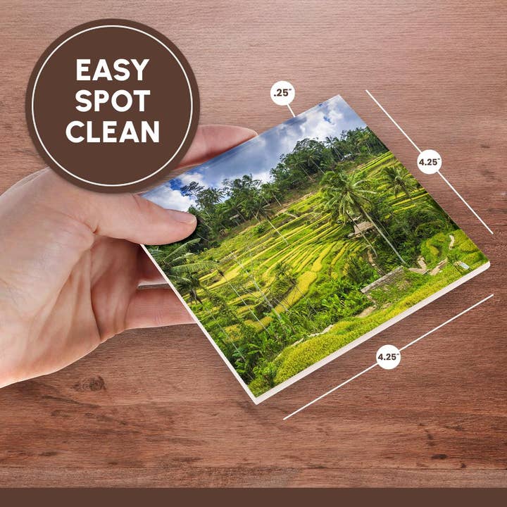 3dRose - Wholesale Coasters - 3dRose, Rice fields at Tegallalang Rice Terrace, Bali, Indonesia, Coaster6