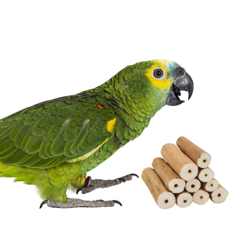 Birdology - Wholesale Bird swing/toy - Sola Sticks With Skin Extra Chew 10pk1
