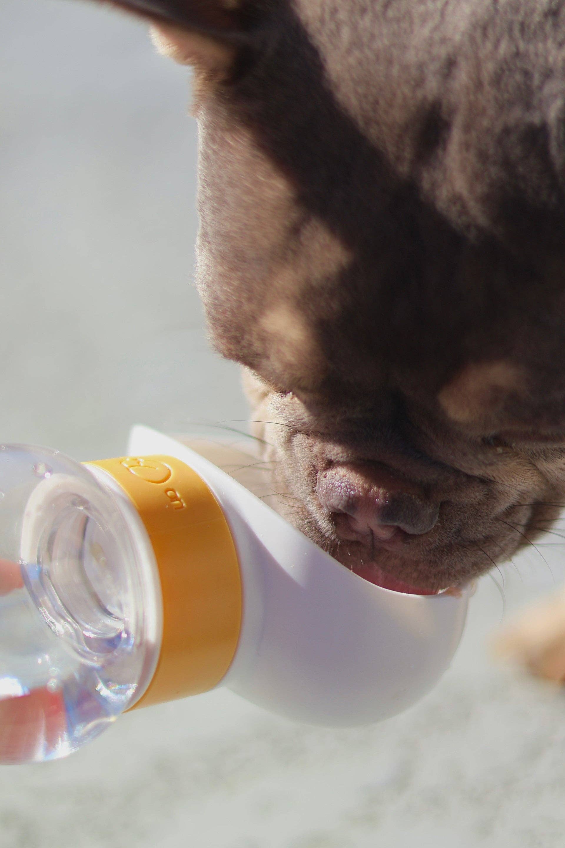 Mighty Pooch – wholesale Pet water bottle – Dog – Portable Water Dispenser8