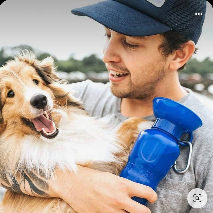 My Pawchella - Wholesale Pet Water Bottle - Dog - Springer Water Bottle13