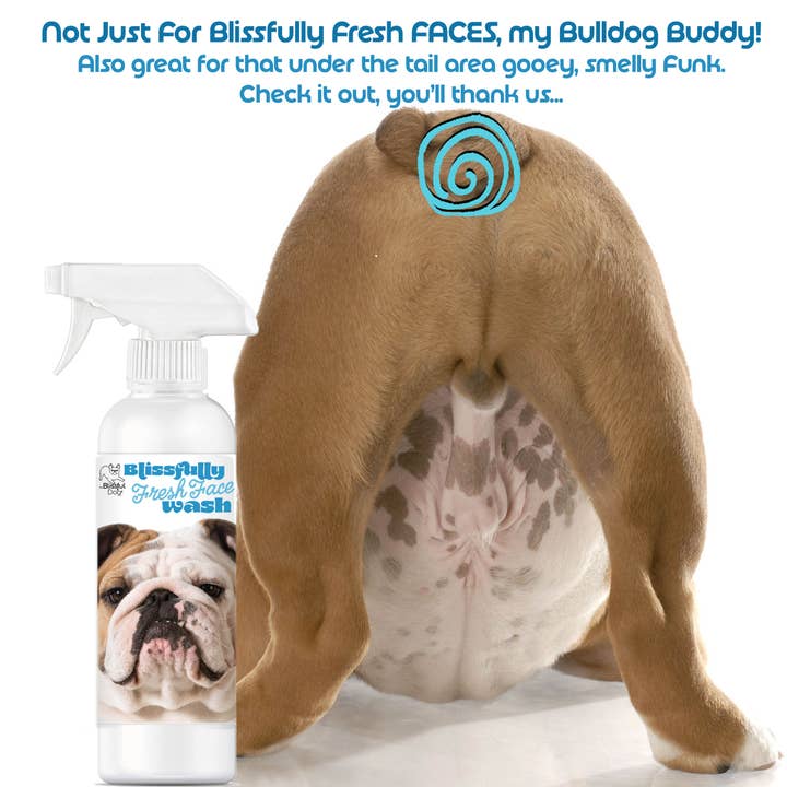 The Blissful Dog - Wholesale Pet cleaning supplies - Blissfully Fresh Face Wash I 4, 8 & 16 oz2