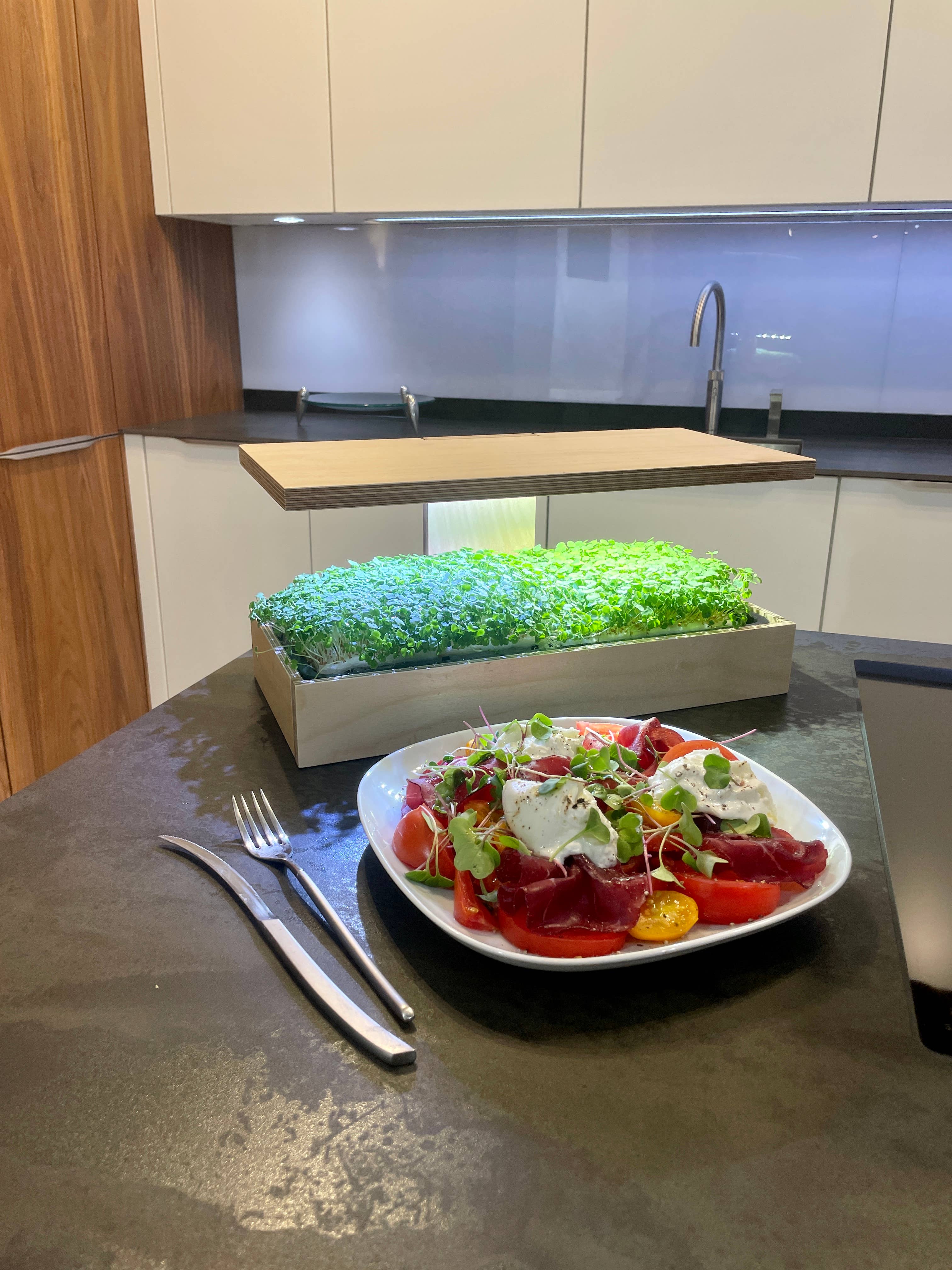 Caulys - Wholesale Plant Pot - Caulys Home - SOLO7